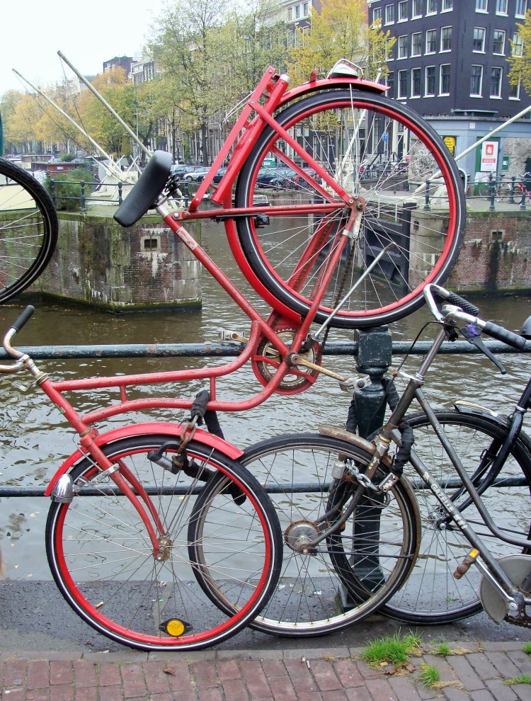 Fahrrad Kopf