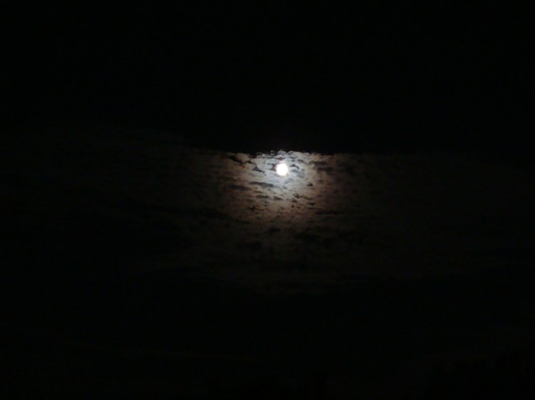 Vollmond nachts