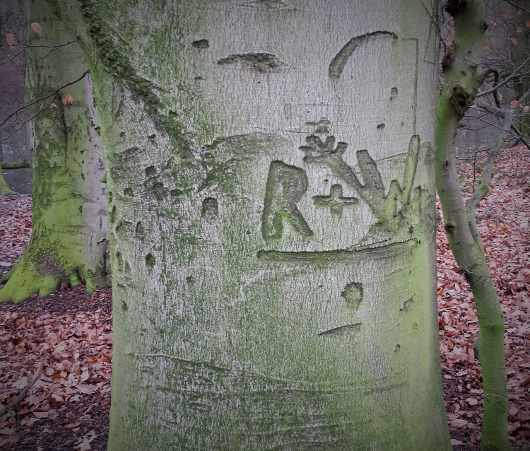 Baum Inschrift
