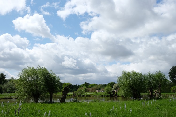 Landschaft Wolken