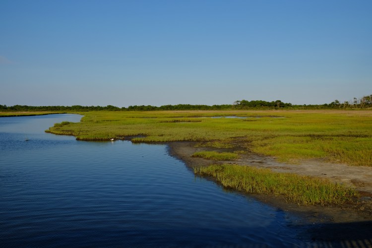 Landschaft Everglades