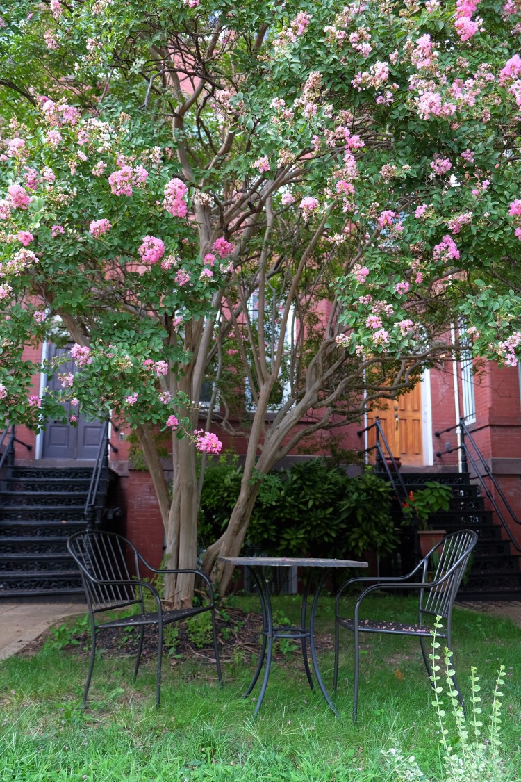 Tisch und Stühle NY