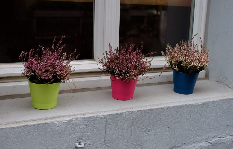 Töpfe Fensterbank