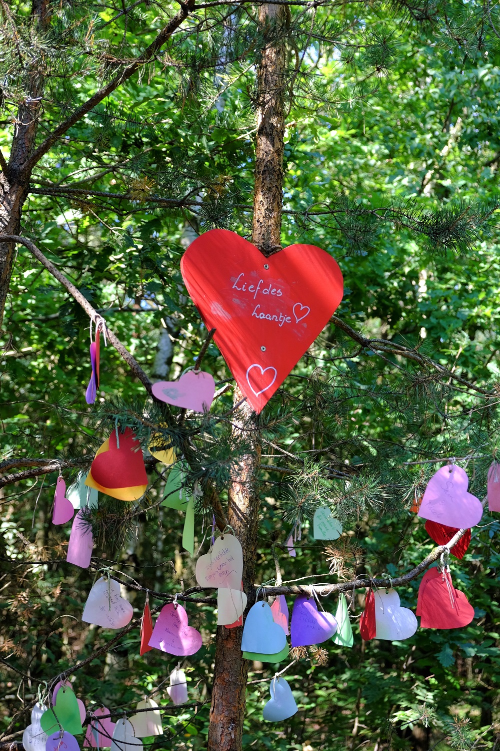 Lief Bloemenvoetenpark