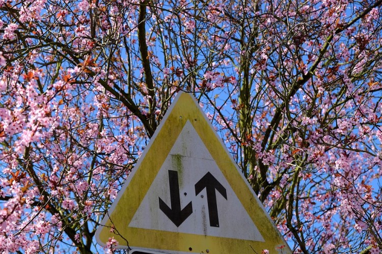 Blüte Schild