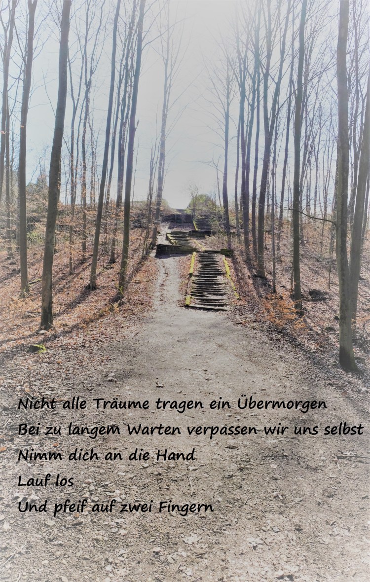 Wald Treppe B