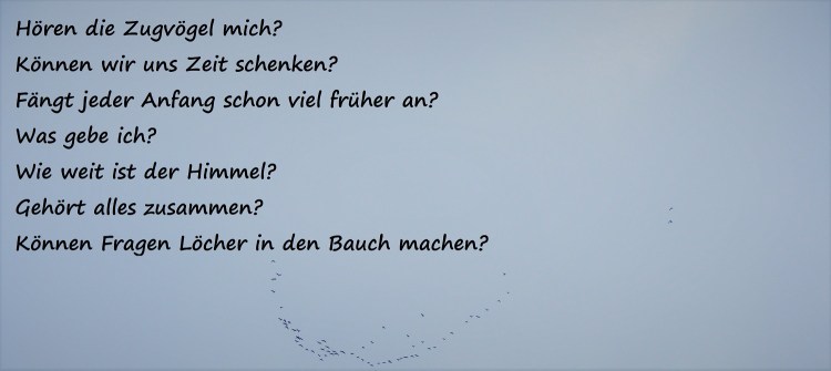 Geschriebenes Zugvögel