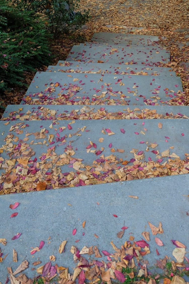 Treppe Herbst