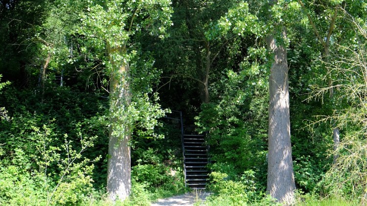 Treppe Hombroich